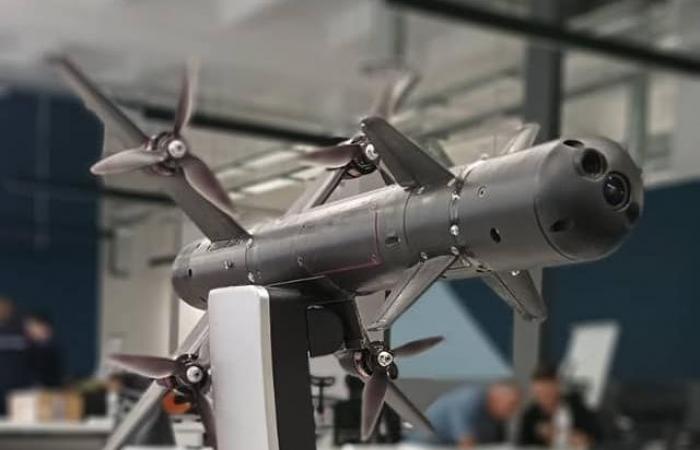 Ukrainian Fowler interceptor drone to combat Russian Orlan-10 drones