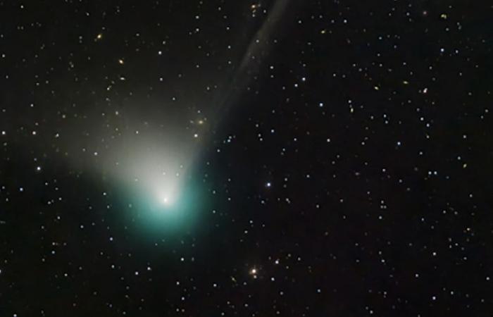 A green comet is approaching Earth. He will probably be able to see with the naked eye