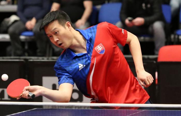 The Czech-Slovak duel amuses the internet. The table tennis player played some breathtaking shots