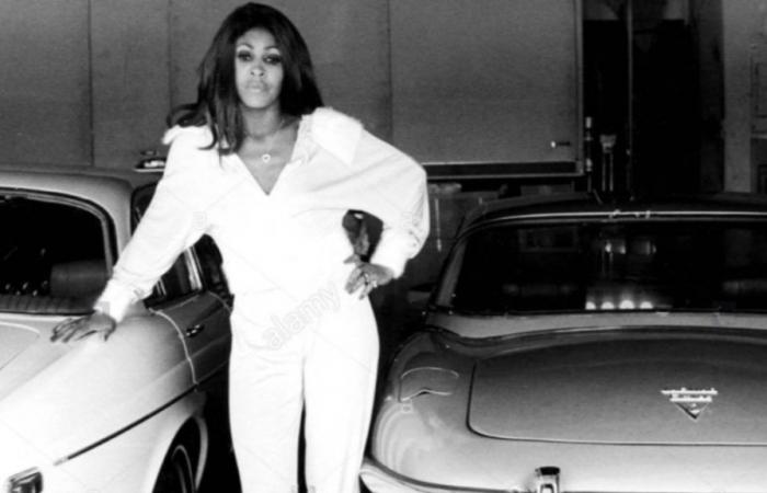 Tina Turner and the remarkable story of her two jaguars. Apart from the name, they were all she had left after the divorce