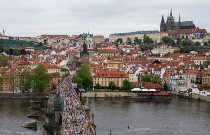 Prague Marathon: The event, attractive to tourists, attracts competitors and high earnings