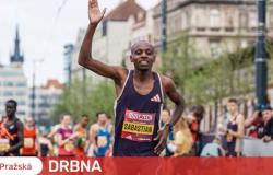 The Prague Marathon will bring about 200 million crowns to the Czech economy. The race will attract foreign tourists | Company | News | Prague Gossip