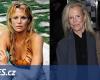 Kim Basinger after plastic surgery to look like her