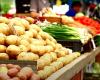 Oxford Economics: Food prices could fall further this year and bottom out. They will grow again next year