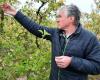 A disaster that Czech fruit growers do not remember. Many say they can’t even pick an apple