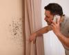 Mold on your walls will disappear in 25 minutes. Try a great method using vinegar