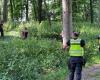 Six lost in half a day: Pardubice policemen were busy