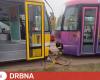 The driver of the rear set is to blame for the collision of two trams, in which almost 30 people were injured, the inspection concluded | Transport | News | Pilsen Gossip