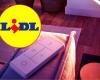 There is a great sale at LIDL! The smart home starter kit has dropped dramatically