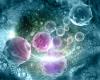 Acalabrutinib Combo Yields PFS Improvement Vs SOC in Mantle Cell Lymphoma
