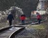 The Central Commission did not approve the repair of the Goat Railway to Krupka, but it will be started anyway