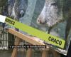 Christenings were held in the Prague Zoo PRAGUE | News
