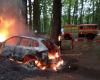 The Porsche was engulfed in flames while driving through the forest, the driver was under the influence of drugs