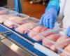 Union: Up to 80 percent of poultry meat will be sold by chains at below cost prices