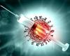 Covid has not disappeared, FLiRT is gaining strength in the world. The vaccine may not protect against a new mutation of the virus, warns Prymula | Czechia