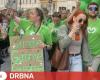 VIDEO: May Day celebrations broke out in Brno. Thousands of people joined the exuberant procession full of music | Culture | News | Brno Gossip