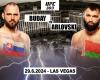 UFC 303: Buday vs. Arlovski!